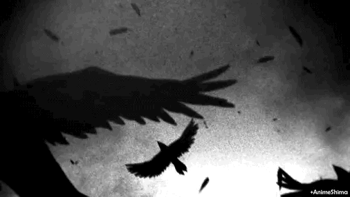 Raven army