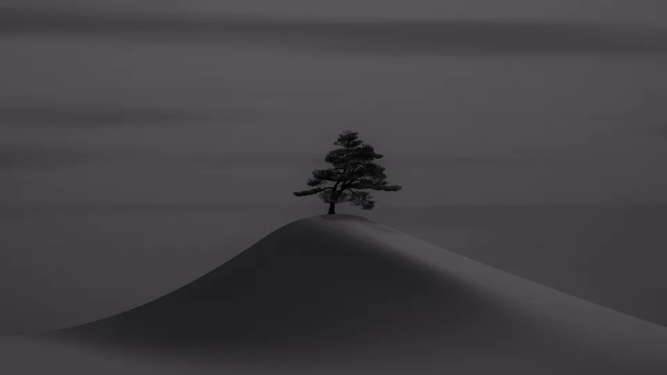 sand x tree lonely